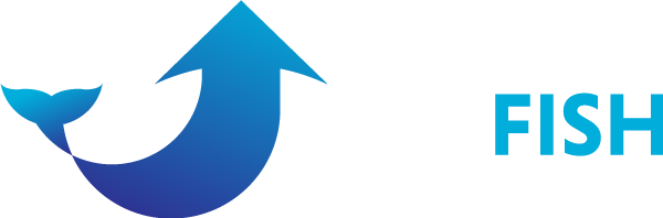 bigfishmarine.sg